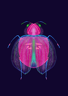 2022-06-06/0db49c58c2ae0493d06530bf12f15981_bc00d96e182d02c262fd64dc63f9fab0