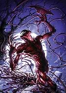 collection-preview-2