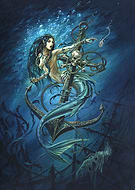 collection-preview-1