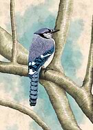 2022-06-29/28dfa69dea636ce8ec45269fbc491771_920fcb3a63ea9471b1df86ae62924ffc