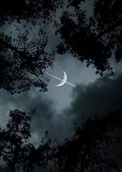 2022-07-01/bcf32b238654fecdab7ae37863b662f4_395a4c2252bf83893f6a62013c7fe310