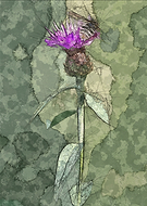 2022-07-04/6f90db7fc584f195de5754c10c3f86ab_1df357e3ea59274548f315d66e7bf185