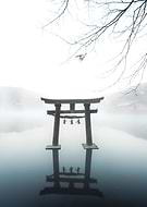 collection-preview-0