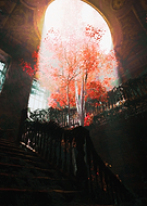 2022-07-07/cf029f7b3b974eb5cb605c934adba331_eb8cdea91a46ce0f806ce0db00a35f93