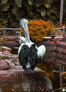 2022-07-14/9acb75e3438727288a2324ffb3b09076_3320c801a4a44e920512254ae05a0523