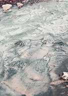 2022-07-14/ff06f0011387b36220cbfd4ea7bf04e5_b89a41182eb33c2c7c31a6599172e31c