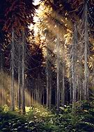 2022-07-15/4b7df6f603cd25acd5552d116a47765c_26daf4256549d3996f3bc0c5155c3ee7