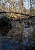 2022-07-16/10bdce29d90521e55ef7e0108bb70d34_131075715d842dfb5ffe84eafc9203b9