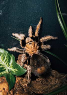 2022-07-16/55d49d510e9cc8e6befe0cb880c86ed6_29084b7419a8236c289b7bbda42ef346