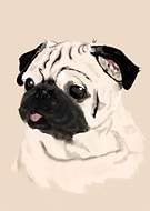 2022-07-17/3b01e8848359b4ec1da94b6db7979930_8f3f8d02f860dfcf6db1cc0f6d0a3a66