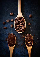 collection-preview-1