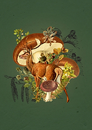 2022-07-18/a0ba2f510008788671729d9096c3da86_99b1c9d7a10f7462b7ab69cfbc42ae76