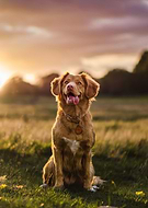 2022-07-19/935a42561b08e0bf4331cc0d83e32600_1b51bea20c0ce31a4caa091b3ae1eacc