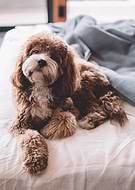 2022-07-19/ed0e4cea863aaa63e53733185e23492e_d02bcb593ad72972e96fea669d08754d