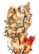 2022-07-23/1dac35e0aa61affc6e26d36a21cc03a7_9f9378afdabfb3d75b17dc59a474c269