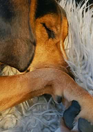 2022-07-24/061b67370835324636012364bee888d7_ae6077df782337f6ce0de155db4d6ec3