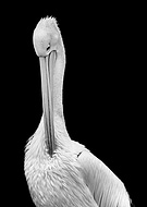 2022-07-24/2458cc166623b6077a9ee4c88d29c35e_0de6da5712cbc7355bd50e8708489b71