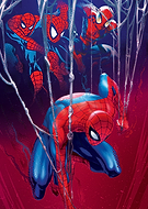 collection-preview-3