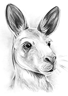 2022-07-29/ea43c15b310590eb5a6dba6c076108fd_a6639560ccc258647cffedb8d6f9a193