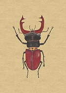 2022-08-01/b4263665839b3f3739123a399a8cb7a0_24aa3055b831016cdebfe303ef03eb91