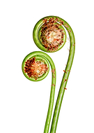 2022-08-02/de2a563e99e71450dc9041b2a3783354_ea236000106a4a1c68270af544409f23