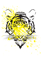 2022-08-03/34206dd961c10a5ef5220bf6389d4b11_d81d72f84d3155b42bbfd63f8ce9a27b