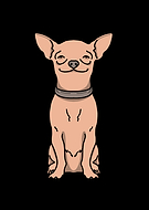 2022-08-03/e21898a13c726d79c5680d6998a8a7ea_ba4104fea3d7e31641a9cfab3f179546