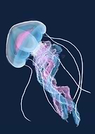 2022-08-04/7c21cb5c1f5f2d257d6352ce4cb00e0e_5b162518a0ae215708f93de370c3e779