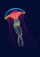 2022-08-04/c7500c0207d619bc25bb4fdad0a6929c_0333ad7a4e744bf82d73ef0952e7a5ac