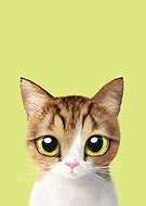 2022-08-09/e60522dfb95f3a29b753d62a7a9004bd_a47fa97e1c9e04ebbf3255631c305c03