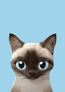 2022-08-09/f00496ec85a498a86ab6753dc16558e5_44f861ed9137941a134fa1b43756a5d2