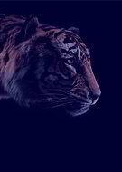 2022-08-10/7cdaec4a56600c19b12c01d5adfa38e8_2babe17cb024435114561e3443a590fd