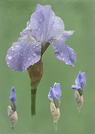 2022-08-10/a00b179a77a2142e9385996243386966_9a13b4980b011c0f0ec5f97b20e65fb2