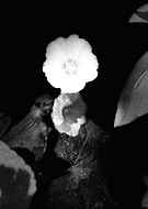 2022-08-10/dea25f8d8965f2f414ac618ddb8caf01_07e00ca6814bec79d3c9400fcb3fba75