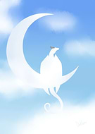 2022-08-13/0ab1998700556cdaa8310d888c31baa2_d5ab3f9643389a3dbf65a51da675ec1e