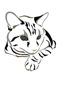 2022-08-14/3c6b051ad92b07d558ad3f08c102ea93_26d6958534396a3dc89693776313f3b7