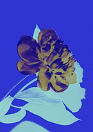 2022-08-16/9e9090138d8d0c385d6f7df55d77c3ca_ceacfde9d18a3b42a79d6f960bff8e2c