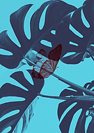 2022-08-16/b885e39d1553e1a5b936614838b2c82e_b762cf802416de76274dfc5d468da2af