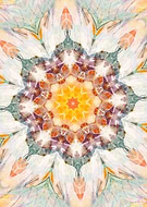 2022-08-17/cbe765c7b49895aaa1fdab9d9fa2c27c_b5a91a27d7426dc93f739f503bd0861e