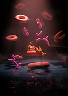 2022-08-19/1608308022de253ea48ad9ace119044e_507165cdb42a927e6ff1a0e518b23810