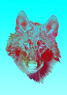 2022-08-27/7eb6a8c4c51cf0a9ffdb85050c6bb00a_fa57fbb32fae5bc491a4c3a8e19c63be