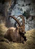 2022-08-30/e4fce4134c14ae13a22ca4dcfa6d1b0e_faf600d3a564db94f0faaa06b0bf3ff2