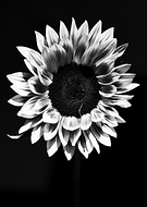 2022-09-04/4a9a227874cafb83f8e9754ebe200cfa_5f04a75909a397910a3fc42737bd6cd9