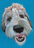 2022-09-04/4aa93414164bfa810e4df3386115f1ba_5c70a58ffe65255c2c6af58ee0bdc547