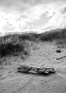 2022-09-10/37373dd79872ce1d71f9ce60ca10752e_934b755374a3a1d7765e234408227740