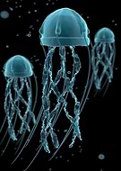 2022-09-15/501b65237c46147612f2b09aec8eb525_c266d5fbae004d277e5946c3e1bfe34b