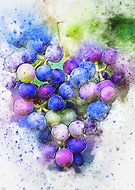 2022-09-15/fcd52f297aecf8f688091e0b30c0c5eb_d849ab17a80a3b77e181d950c0c41749