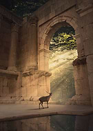 2022-09-17/8ae3f36eb06884e1af2147e557866bb8_75b977ebd02ca6efae60c252988de425