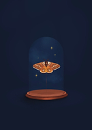 2022-09-17/edd4d6be7db46042f8fc2cb33b8b9513_c7fe80e32c5bdc47a9c2c9b9a6befe14