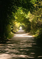 2022-09-23/06e767801baeb05d769b71e3be79d918_51ab329c906b3c3621a33f73103eda69